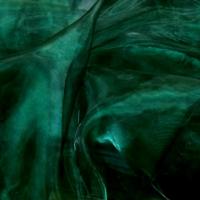 Organza vert sapin 3