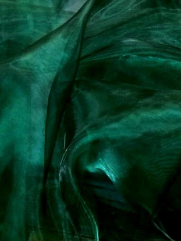 Organza vert sapin 3