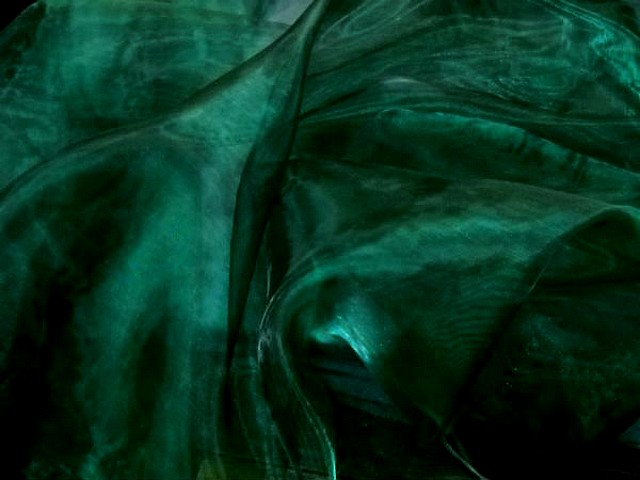 Organza vert sapin 3