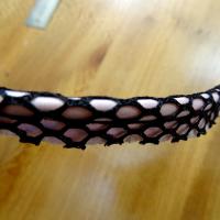 Passepoil alveole rose et noir 1