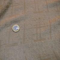Polyester et resille beige encolles motif craquele 1 
