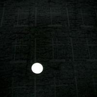 Polyester et resille noir encolles motif craquele 3 