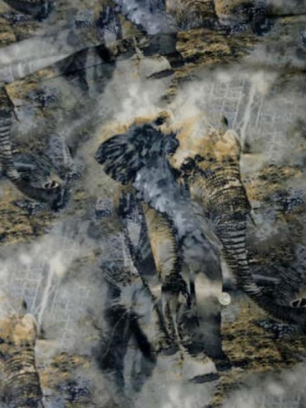 Popeline coton lycra grise elephants 3 
