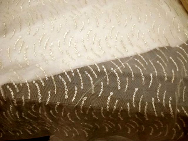 Resille lycra motif brode or pale 3