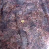 Résille lycra parme motifs roses de jardin 01