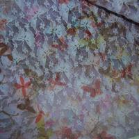 Resille lycra rose pale imprime motif papillon 1 
