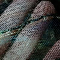 Resille marron bleu vert fleurie a sequins 2