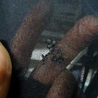 Resille mousse noire fleurs brodees ton sur ton 4