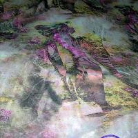 Resille rose elephant majestueux 2 