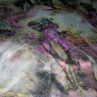 Resille rose elephant majestueux 3 