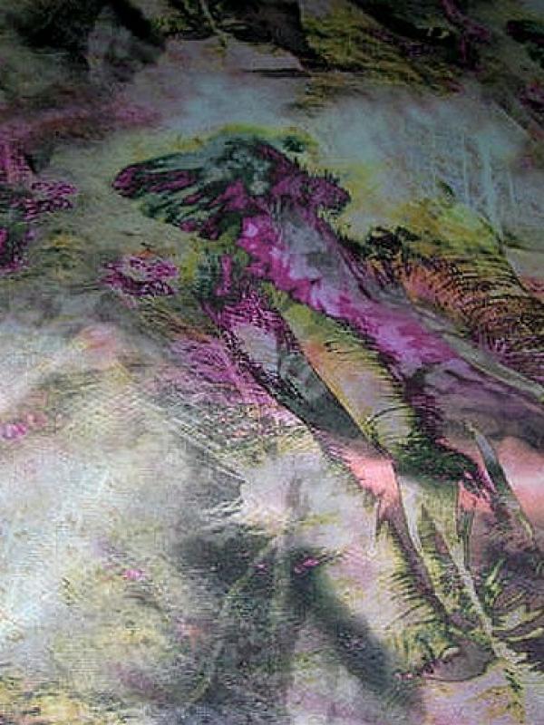 Resille rose elephant majestueux 3 