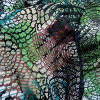 Resille semi transparente motifs en applique 1