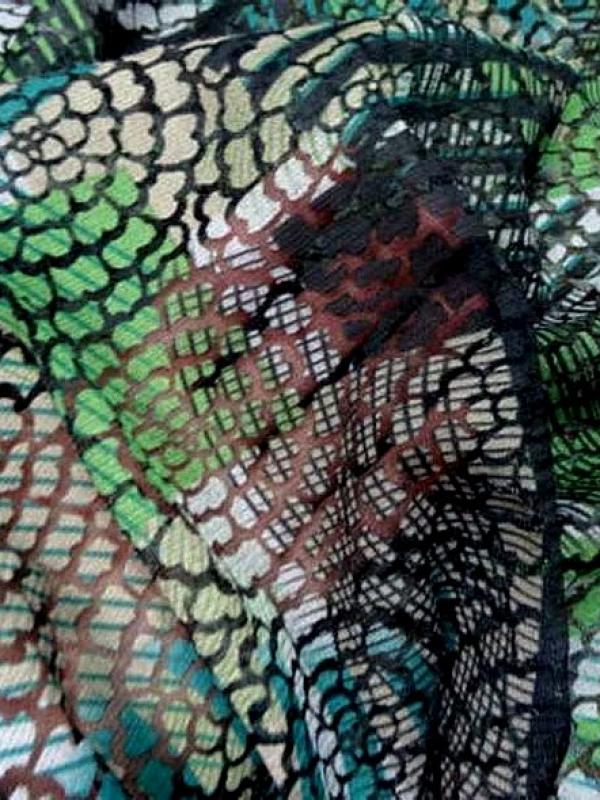 Resille semi transparente motifs en applique 1 