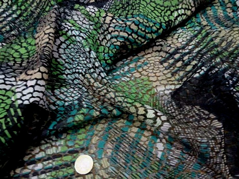 Resille semi transparente motifs en applique 3