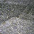 Satin coton gris clair arabesque de fleurs mauve taupe 3 