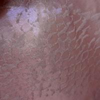 Satin de soie fin vieux rose avec applications de velours 4