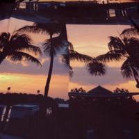 Satin viscose coucher de soleil palmiers 1