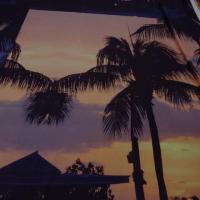 Satin viscose coucher de soleil palmiers 2