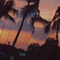 Satin viscose coucher de soleil palmiers 3