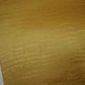 Skai aspect vinyle dore 1 