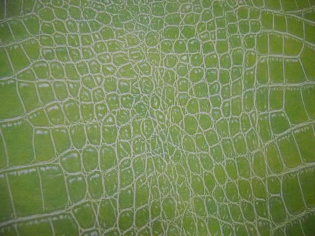Skai croco vert anis 3