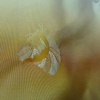 Taffetas bandes degradees orangees motif papillons faconnes 2