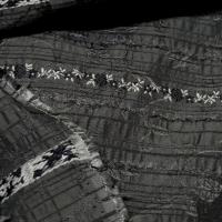 Taffetas gris mine de crayon surbrode fleuri avec frises 1