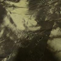 Taffetas kaki dore brode de fleurs ton sur ton 2