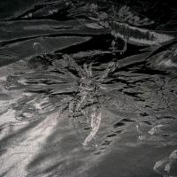 Taffetas noir rebrode de rubans formant des fleurs 3