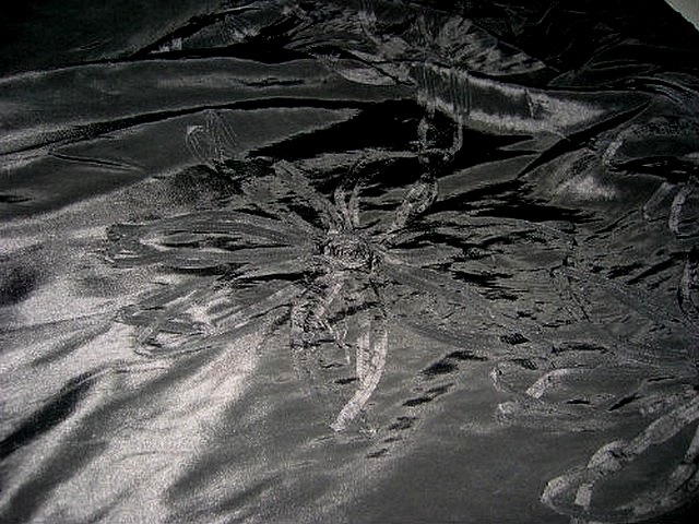 Taffetas noir rebrode de rubans formant des fleurs 3