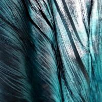 Taffetas plisse bleu canard reflets noirs 4
