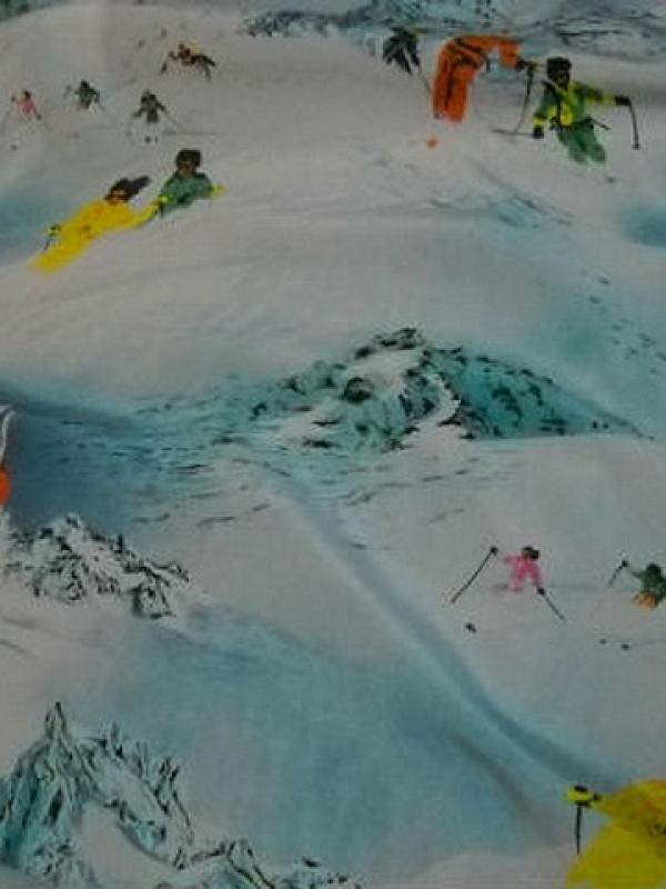 Taffetas souple motifs skieurs et montagnes 2 