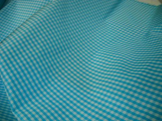 Taffetas vichy bleu clair 2 