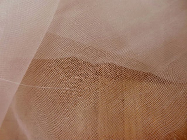 Tarlatane de soie beige 3