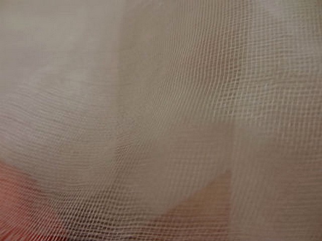 Tarlatane de soie beige 4