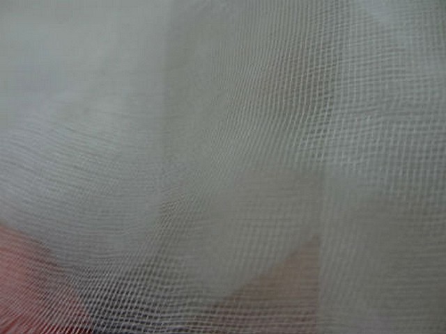 Tarlatane de soie blanc jpg 1