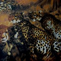 Tissu lycra imprime cene leopard2