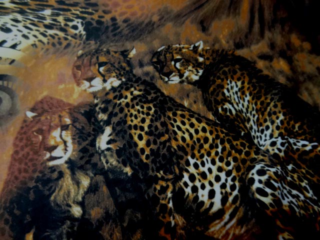 Tissu lycra imprime cene leopard2