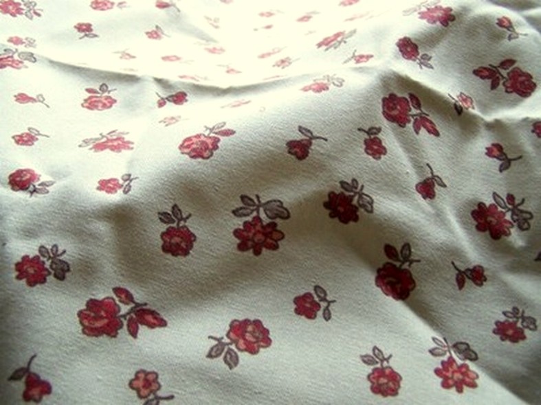 Toile coton provencal 1 1