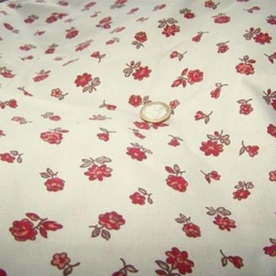 Toile coton provencal 4 1