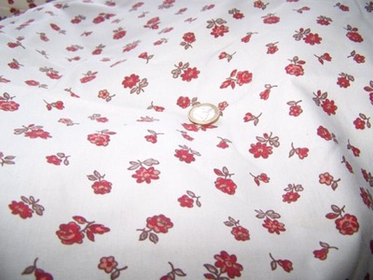 Toile coton provençal 4