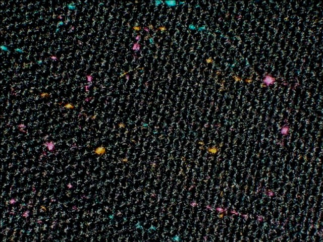 Toile noire chinee tweed 2