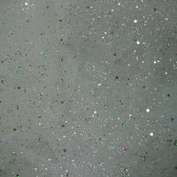 Tulle blanc a paillettes 2