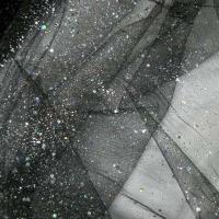 Tulle noir a paillettes 1