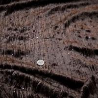 Velours a sequins marron chocolat 