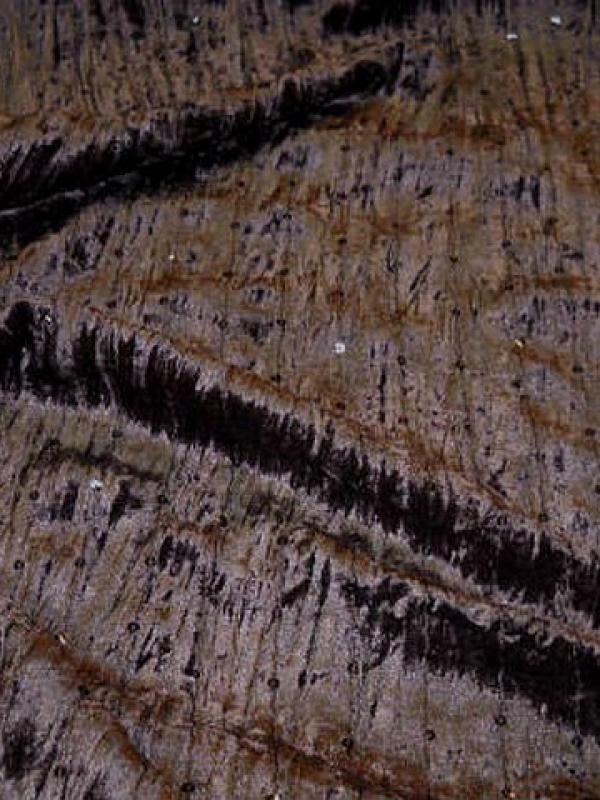 Velours a sequins marron chocolat 2 1 