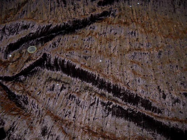 Velours a sequins marron chocolat 2 1