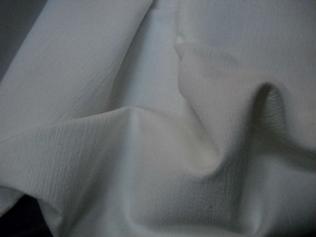 Velours coton blanc 2 