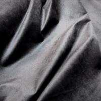 Velours gris ras 1