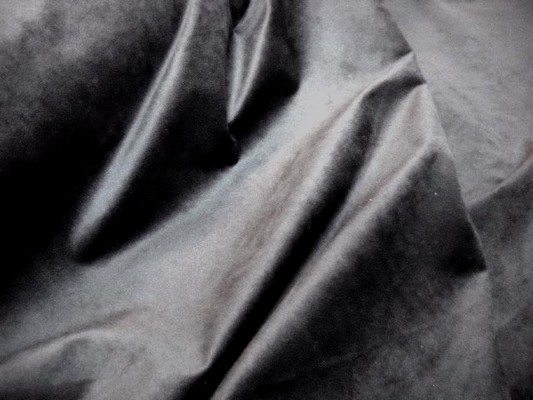 Velours gris ras 1